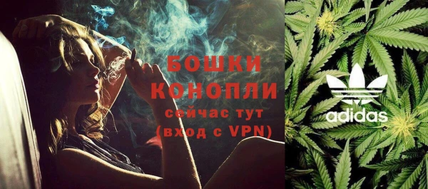 индика Аркадак