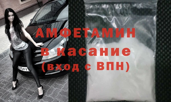 PSILOCYBIN Гатчина