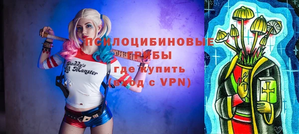 твердый Гвардейск