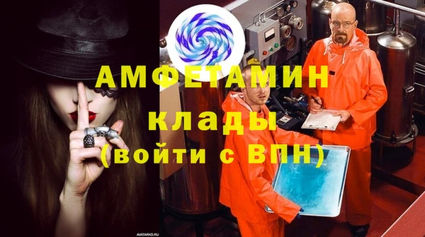 индика Аркадак