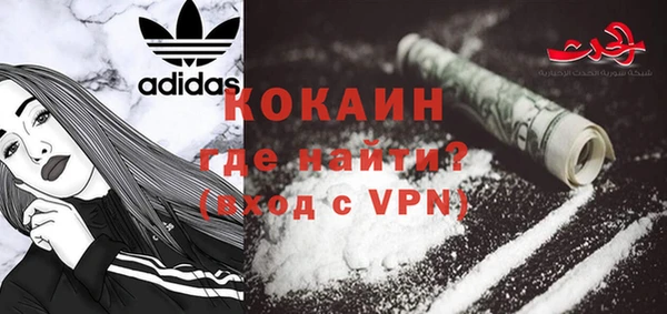 индика Аркадак