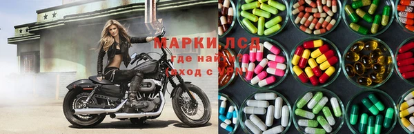 индика Аркадак