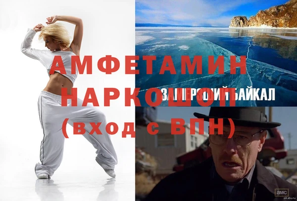 индика Аркадак