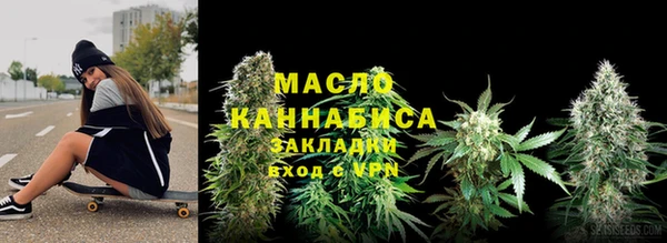 индика Аркадак