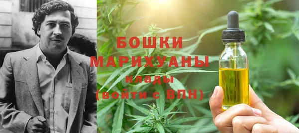 PSILOCYBIN Гатчина