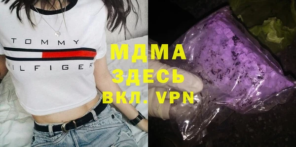 индика Аркадак