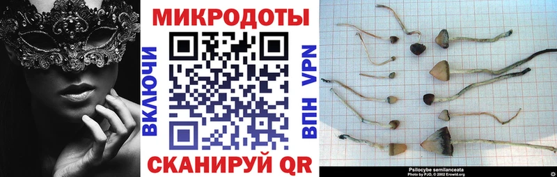 купить наркотики цена  Заинск  Псилоцибиновые грибы Cubensis 