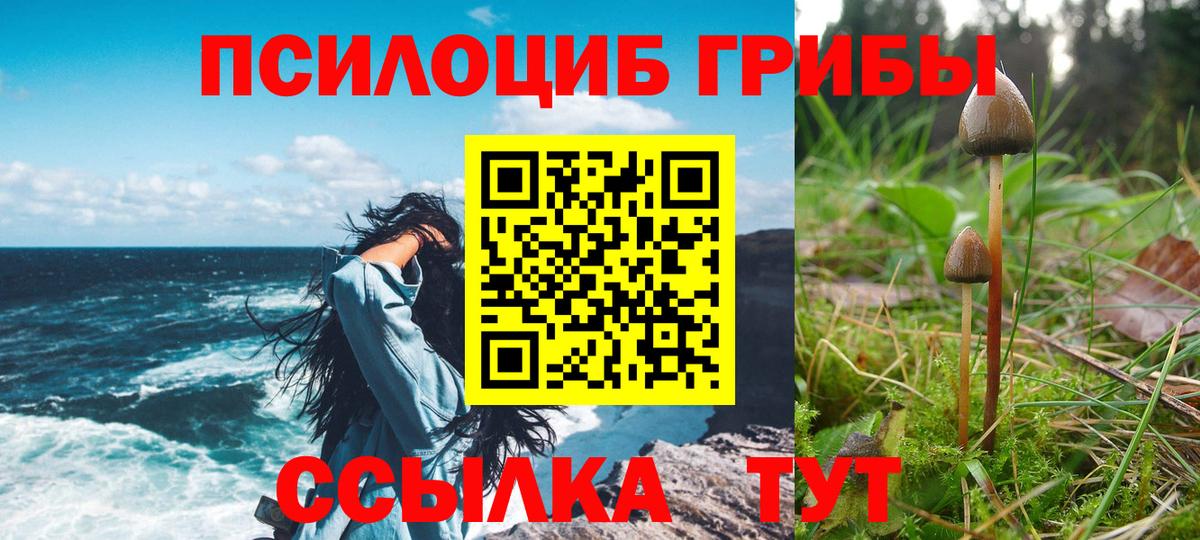 Псилоцибиновые грибы Psilocybe  Галлюциногенные грибы прущие грибы  Заинск  Вход с VPN 